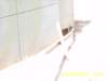 s5300175_small.jpg