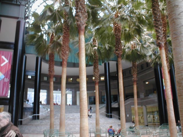 p1010018.jpg
