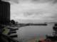 p1010019_small.jpg