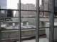 p1010033_small.jpg