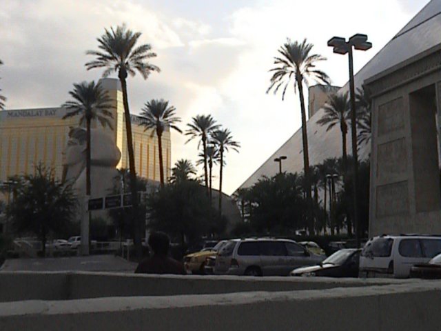 dvc00090.jpg