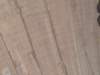 dvc00119_small.jpg