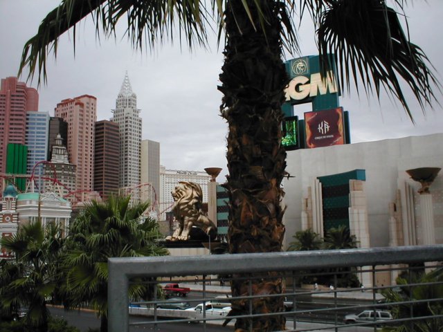 p1010053.jpg