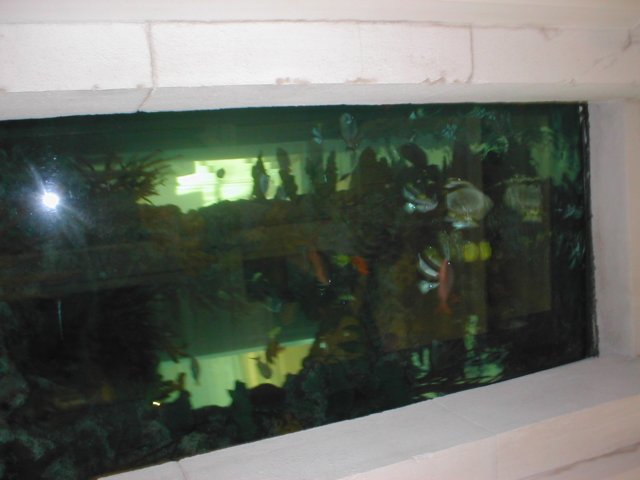 pa200157.jpg