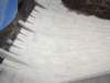 pa210228_small.jpg
