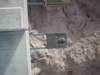pa210233_small.jpg