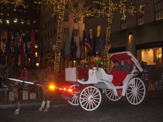 carriage.jpg