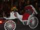 cimg0100_small.jpg