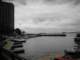newyorkharbor_small.jpg
