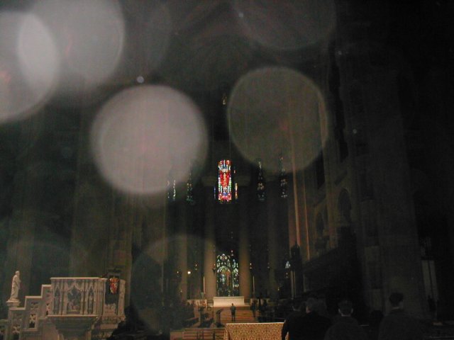 p1010077.jpg
