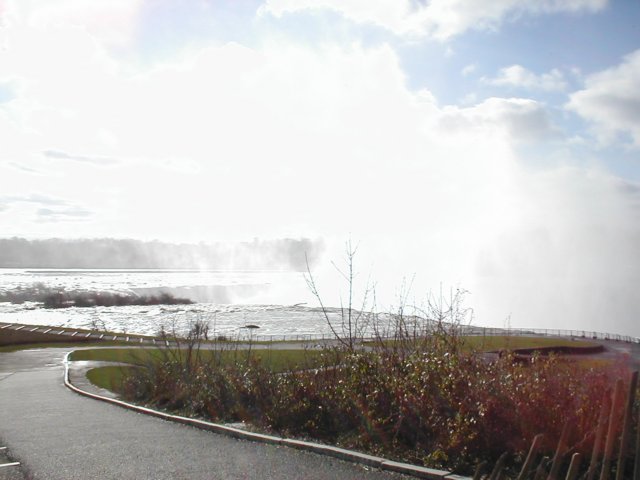 p1010162.jpg