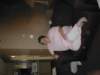 p1010175_small.jpg
