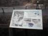 prospectpointviewingareasign_small.jpg
