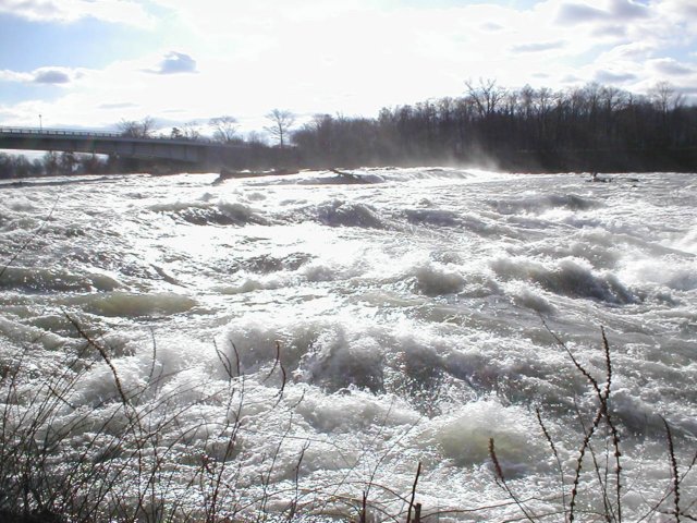 rapids.jpg