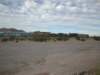 pa210248_small.jpg