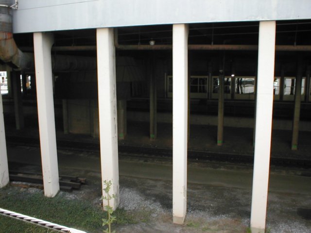 photo3.jpg