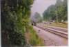 scan0010_small.jpg