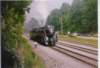 scan0018_small.jpg